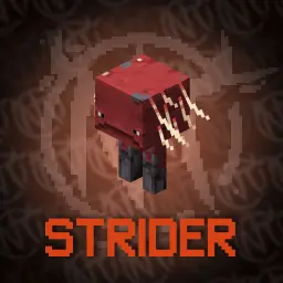 Strider